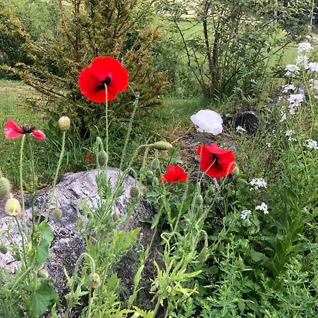 Maetteli 3* Hasliberg